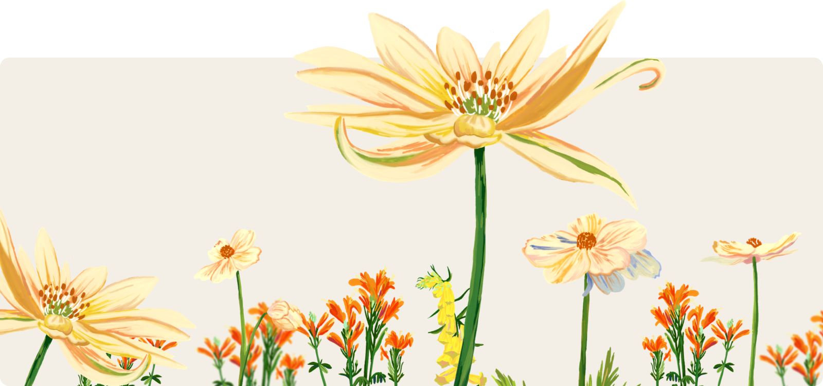 Header – Customers Flowers