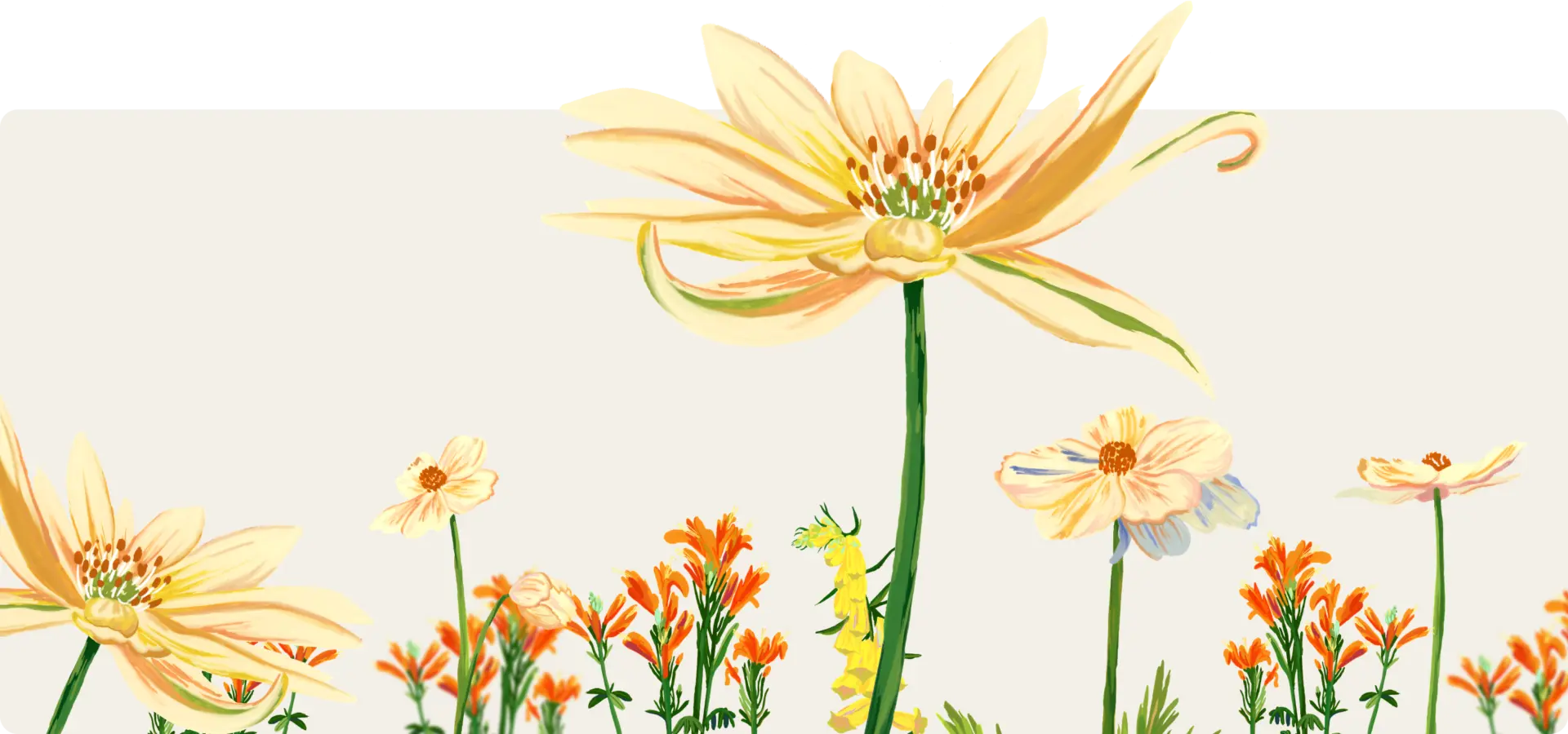 Header – Customers Flowers