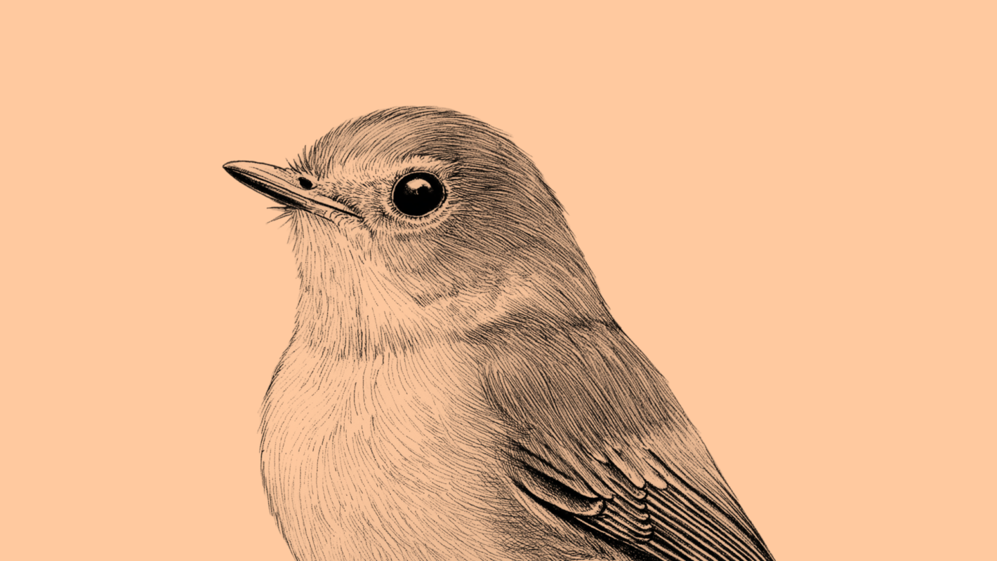 Resource news blog 14