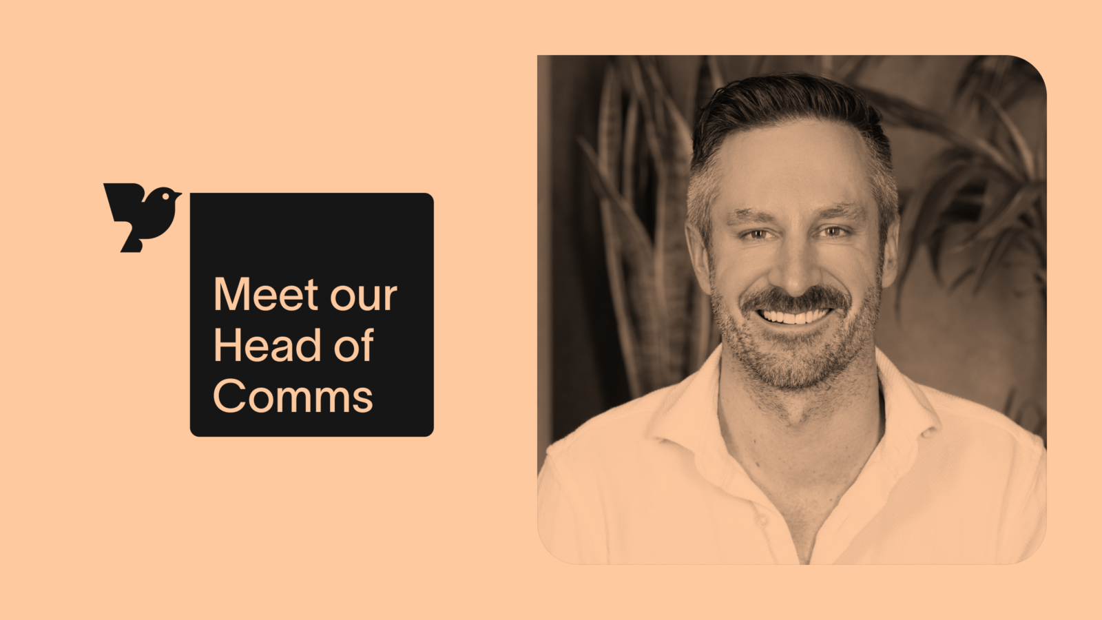 Resource meet head of comms